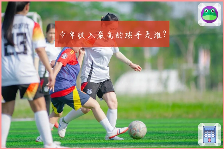 今年收入最高的棋手是谁？